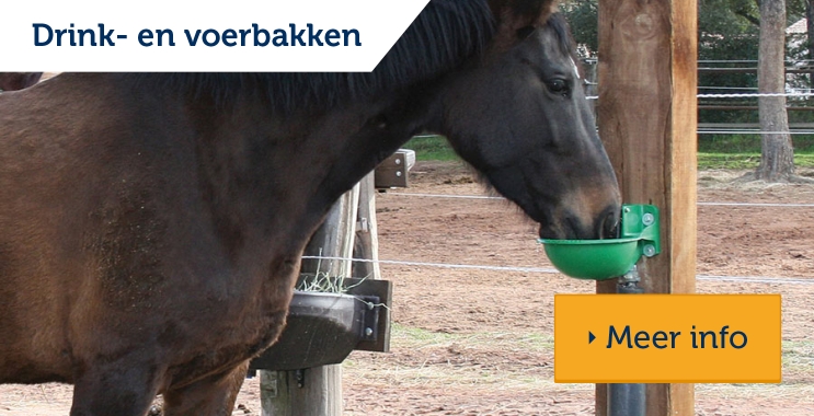 Voer- en drinkbakken