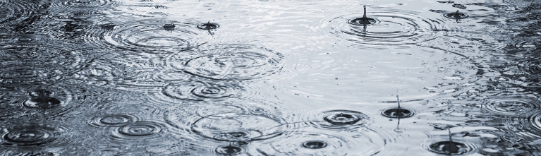Regenwateropvang & hergebruik