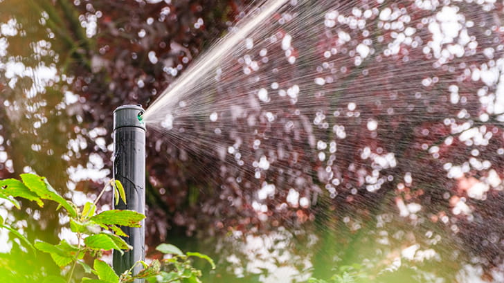 Wees de droogte voor