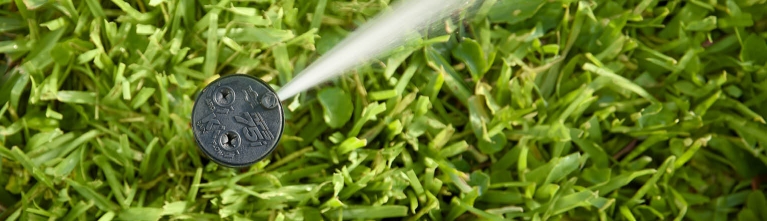 Grote tuin varianten
