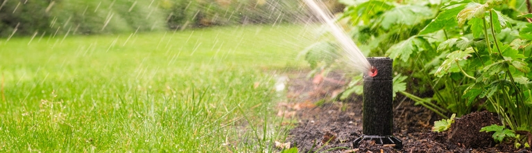 Subsidies voor particulieren