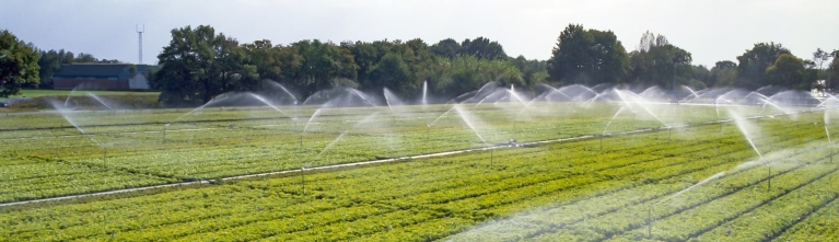Beregeningsplan agro