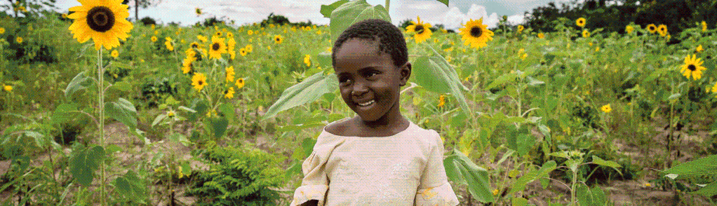 Jarola Foundation