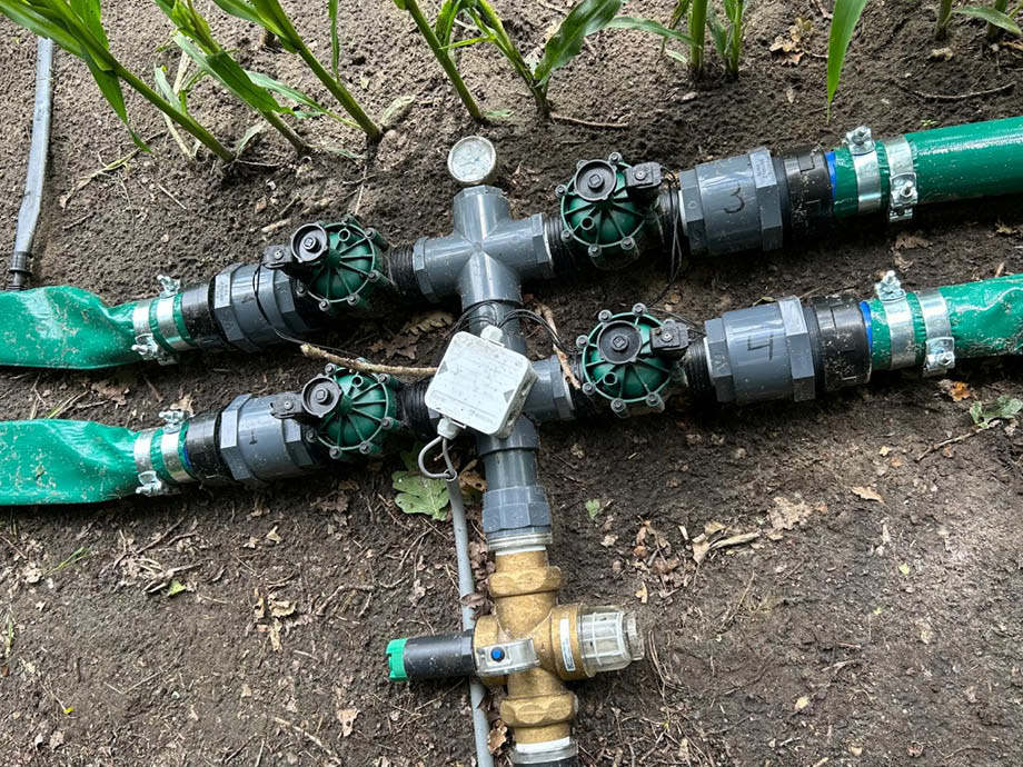 Drip-irrigatie