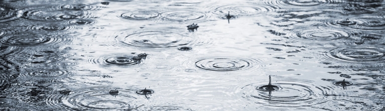 Kenniscentrum - Waterbeheer